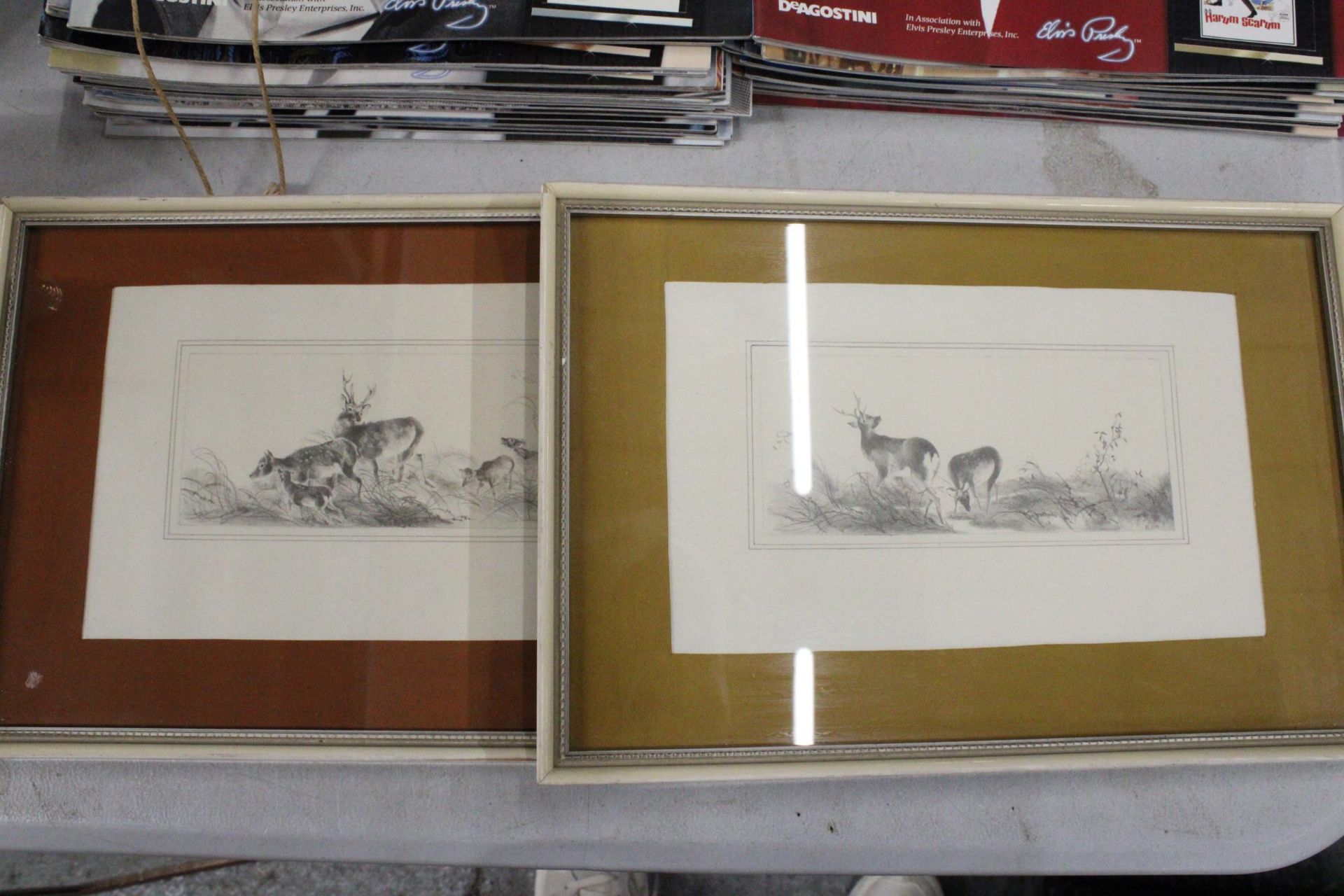 TWO PENCIL DRAWINGS OF DEER, FRAMED, SIGNED B JOY