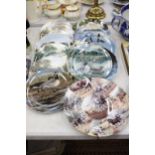 A QUANTITY OF TWELVE CABINET PLATES TO INCLUDE ROYAL DOULTON ETC