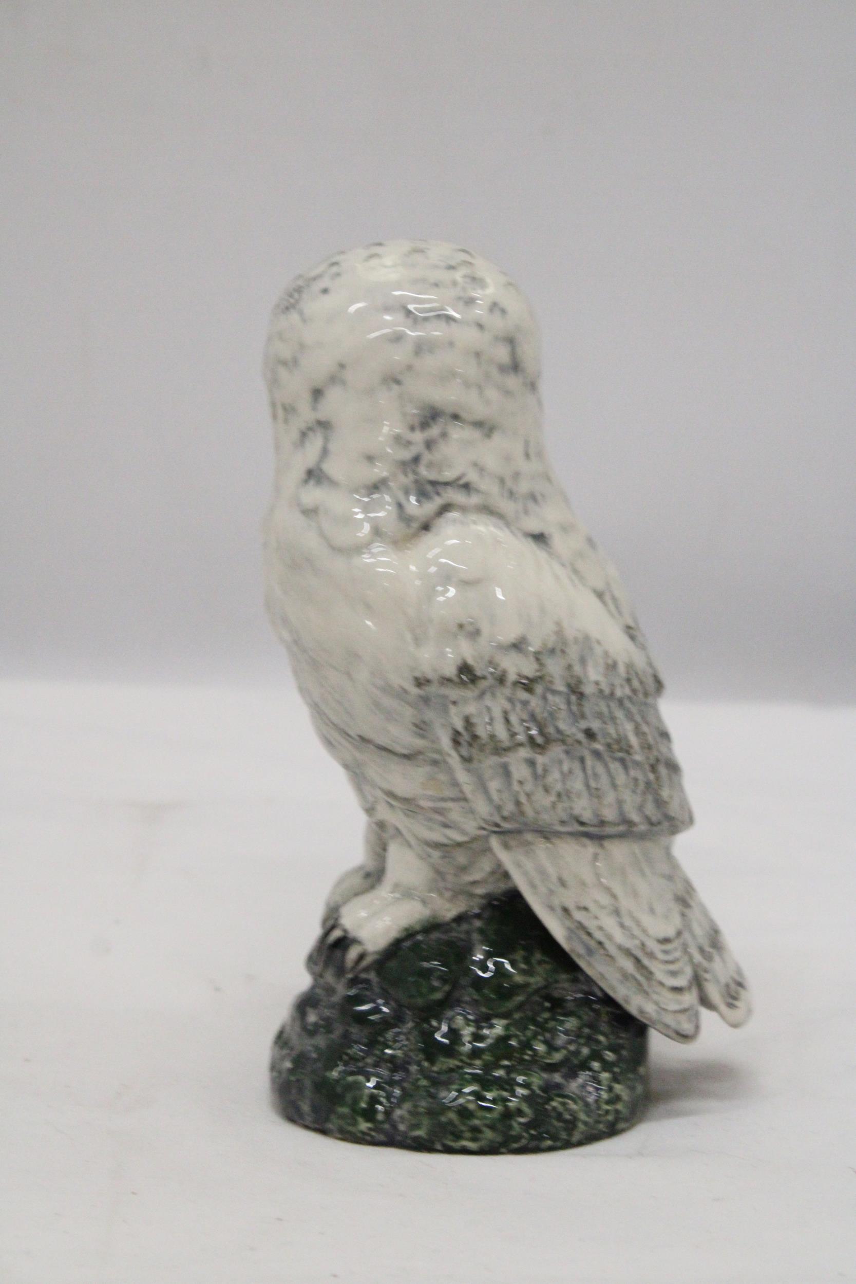 A ROYAL DOULTON, 1984, SNOWY OWL, WHYTE AND MACKAY DECANTER - Image 4 of 6