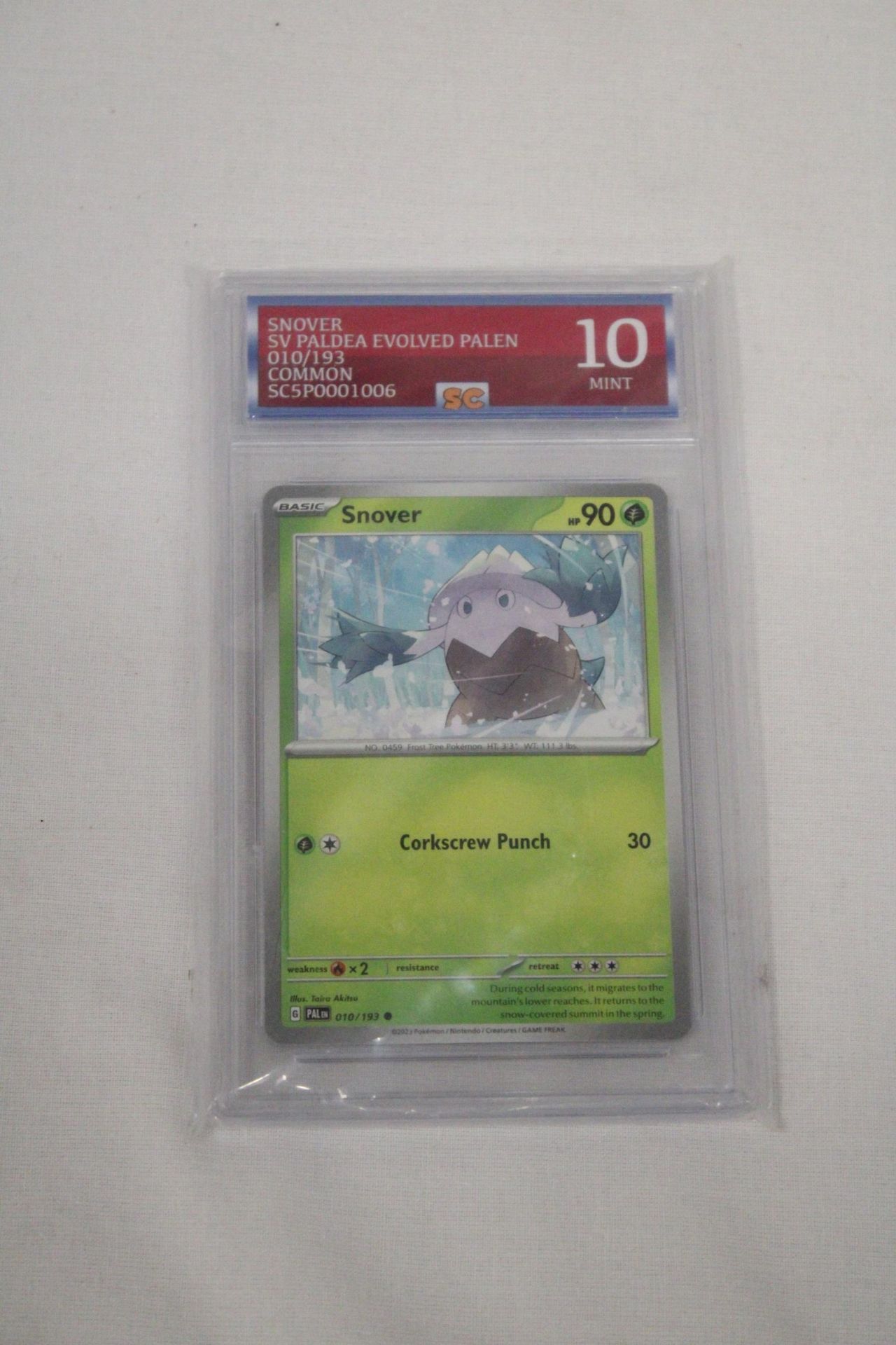A GRADED POKEMON CARD 10/10 SNOVER - Image 4 of 4