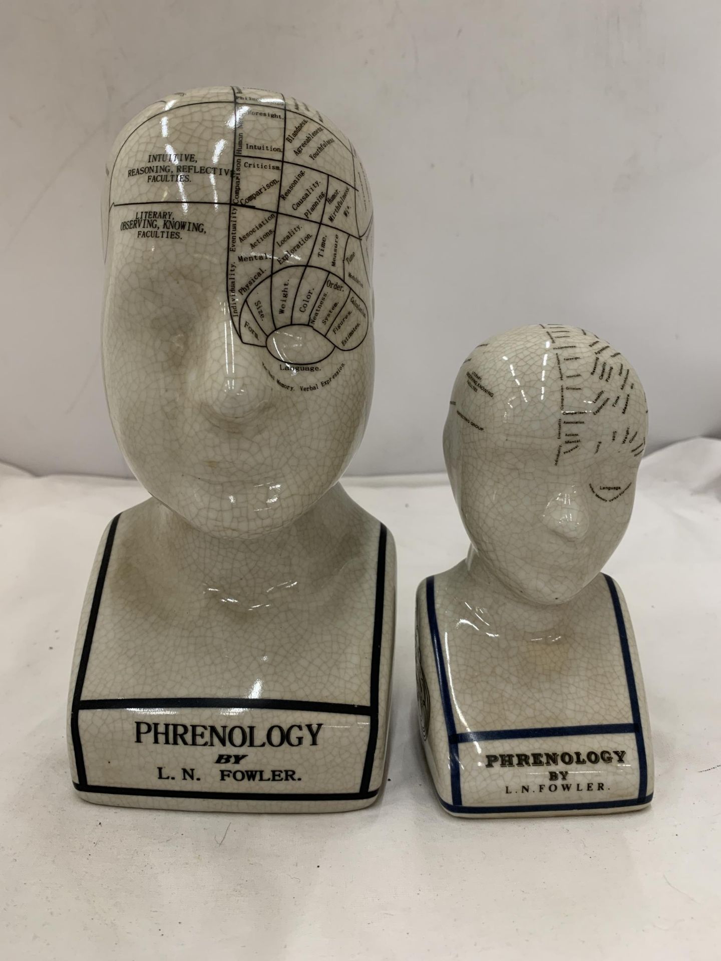 TWO CERAMIC PHRENOLOGY HEADS, HEIGHTS, 23CM AND 16CM