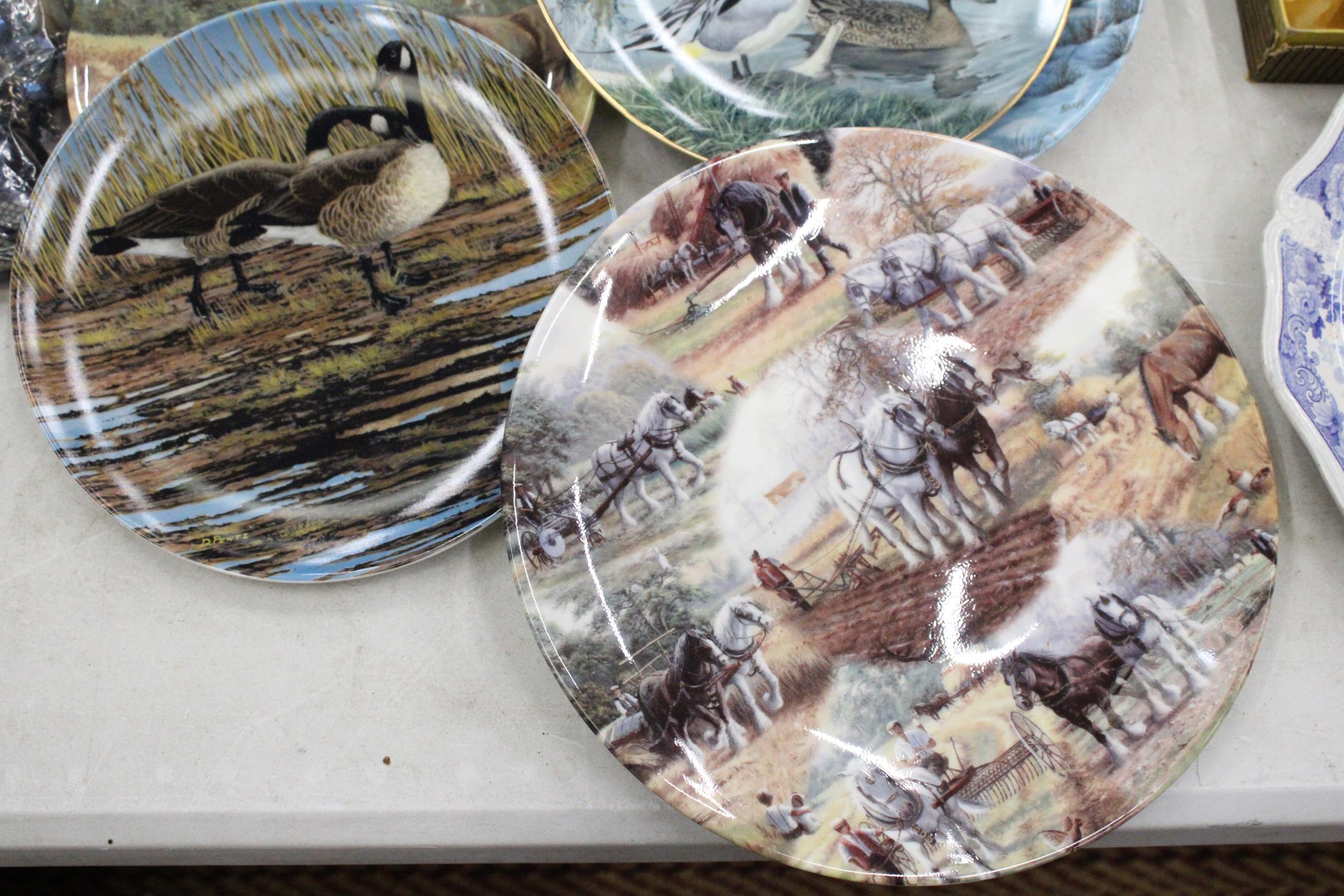 A QUANTITY OF TWELVE CABINET PLATES TO INCLUDE ROYAL DOULTON ETC - Image 2 of 7