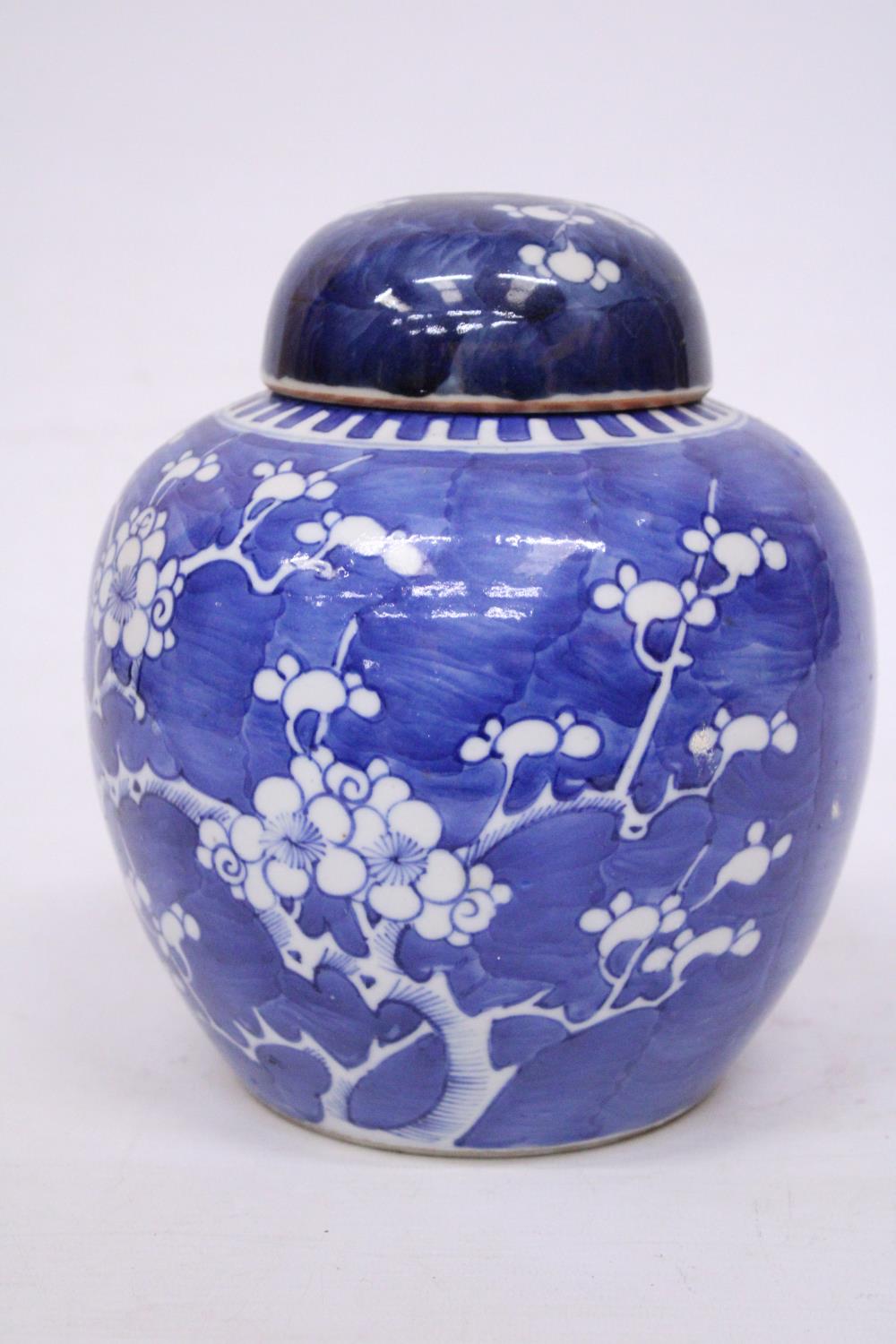 A 19TH CENTURY CHINESE PORCELAIN LIDDED PRUNUS PATTERN GINGER JAR - Image 2 of 7