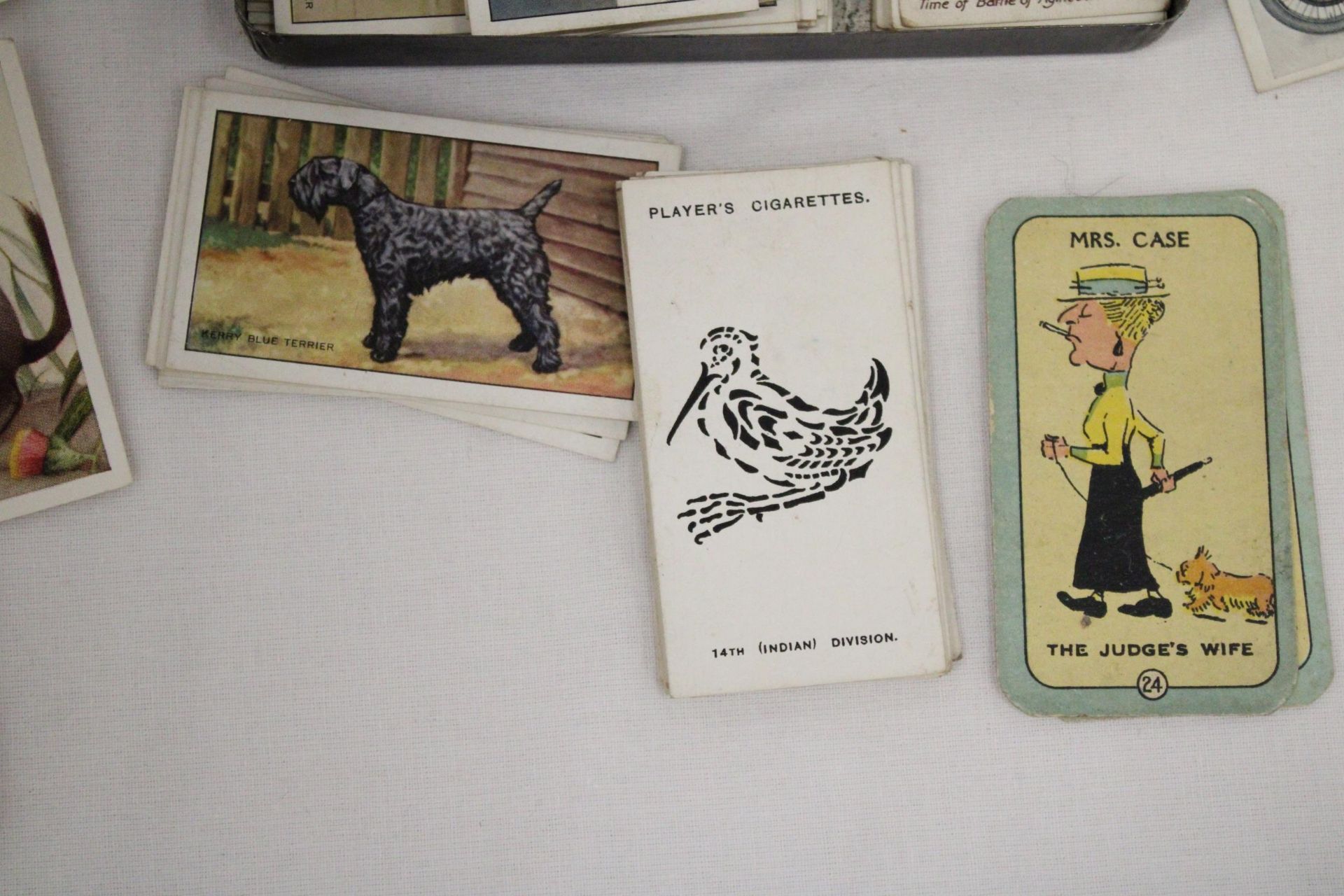 A VINTAGE CIGARETTE TIN CONTAINING CIGARETTE CARDS - Image 5 of 5
