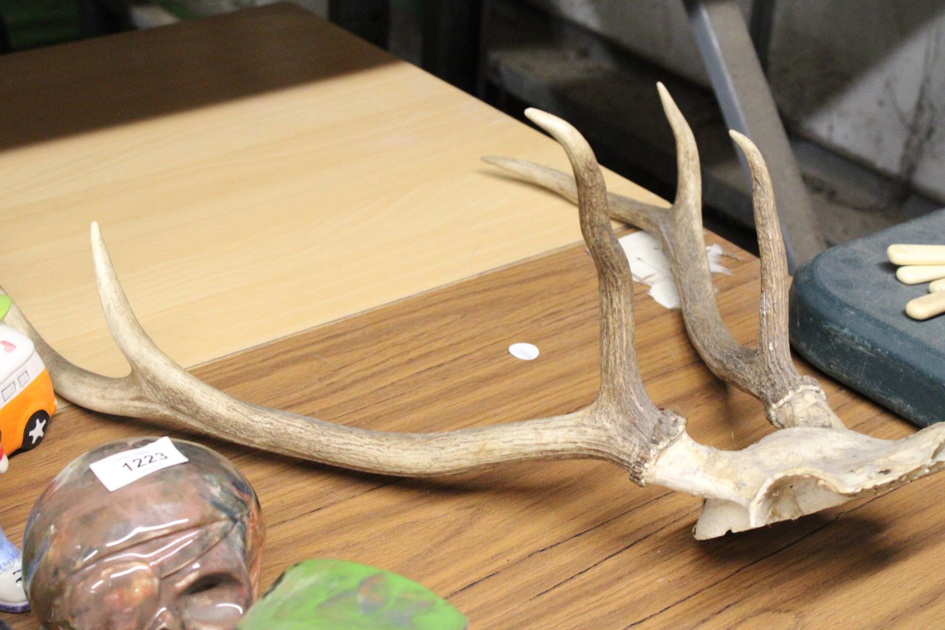 A PAIR OF MOUNTED DEER ANTLERS - Image 4 of 4