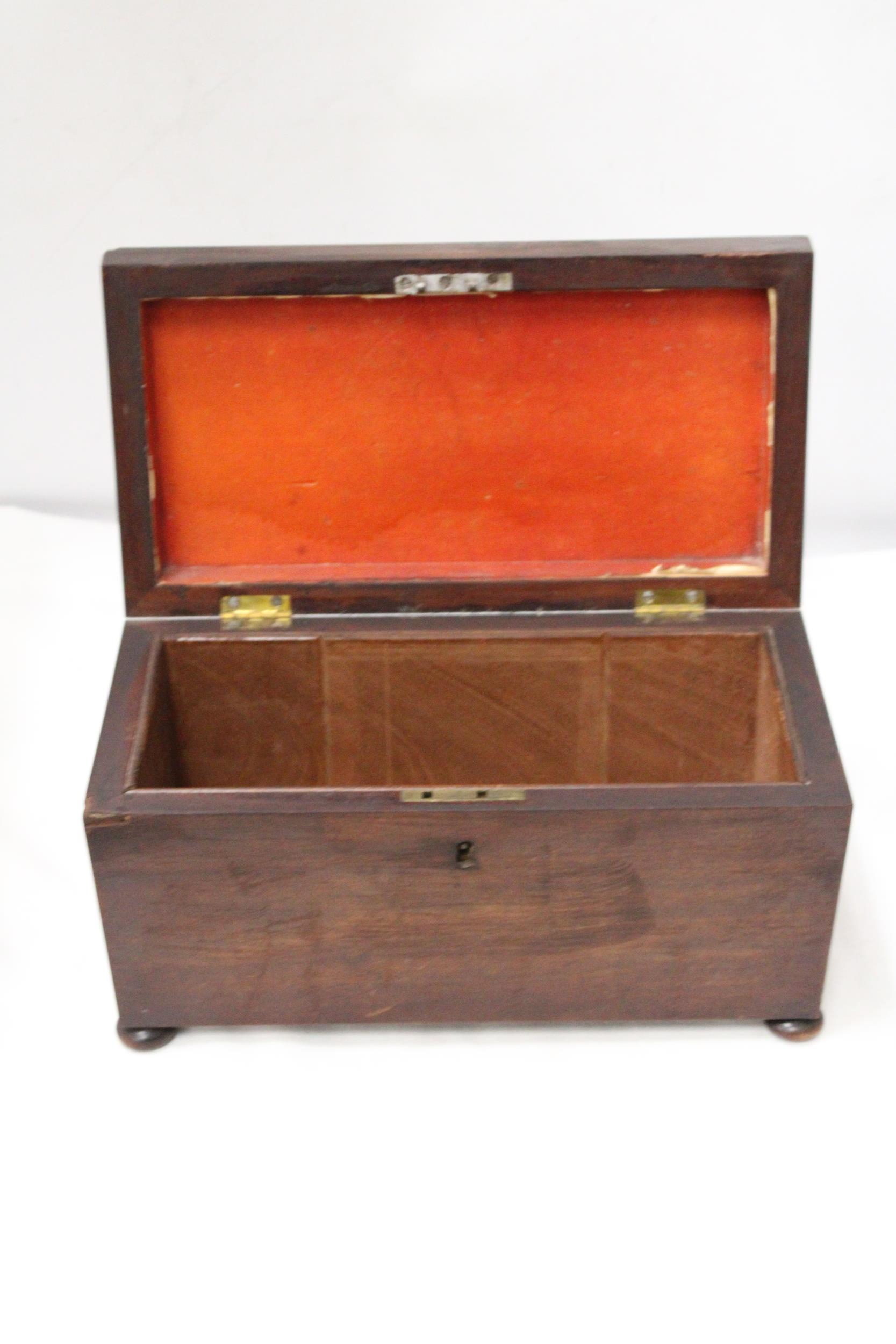 AN EARLY VICTORIAN, MAHOGANY, SARCOPHAGUS, TEA CADDY - Image 2 of 5