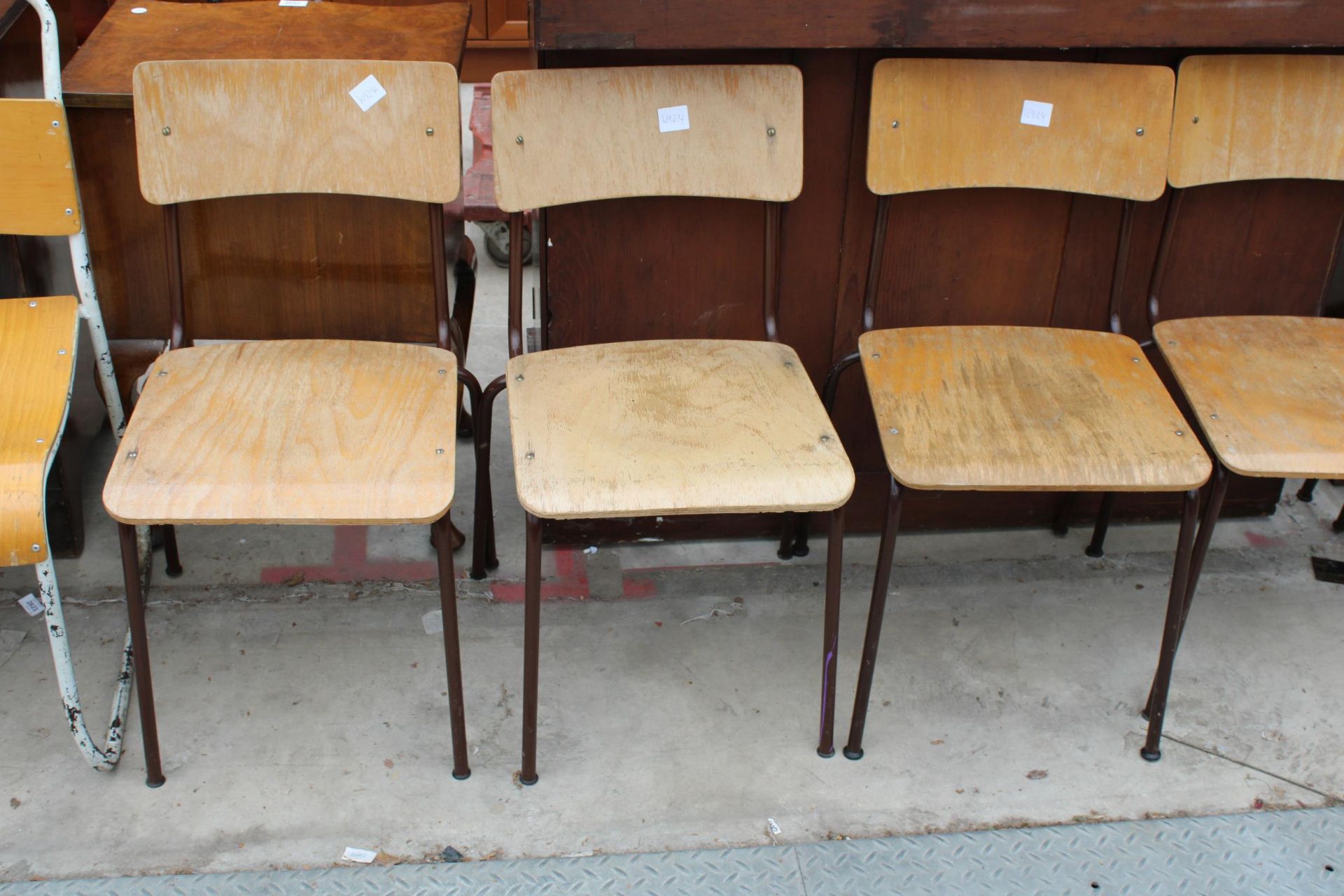 SEVEN 1950'S BENTWOOD CHAIRS ON TUBULAR FRAMES, ERCOL STYLE CHAIR - Image 3 of 3