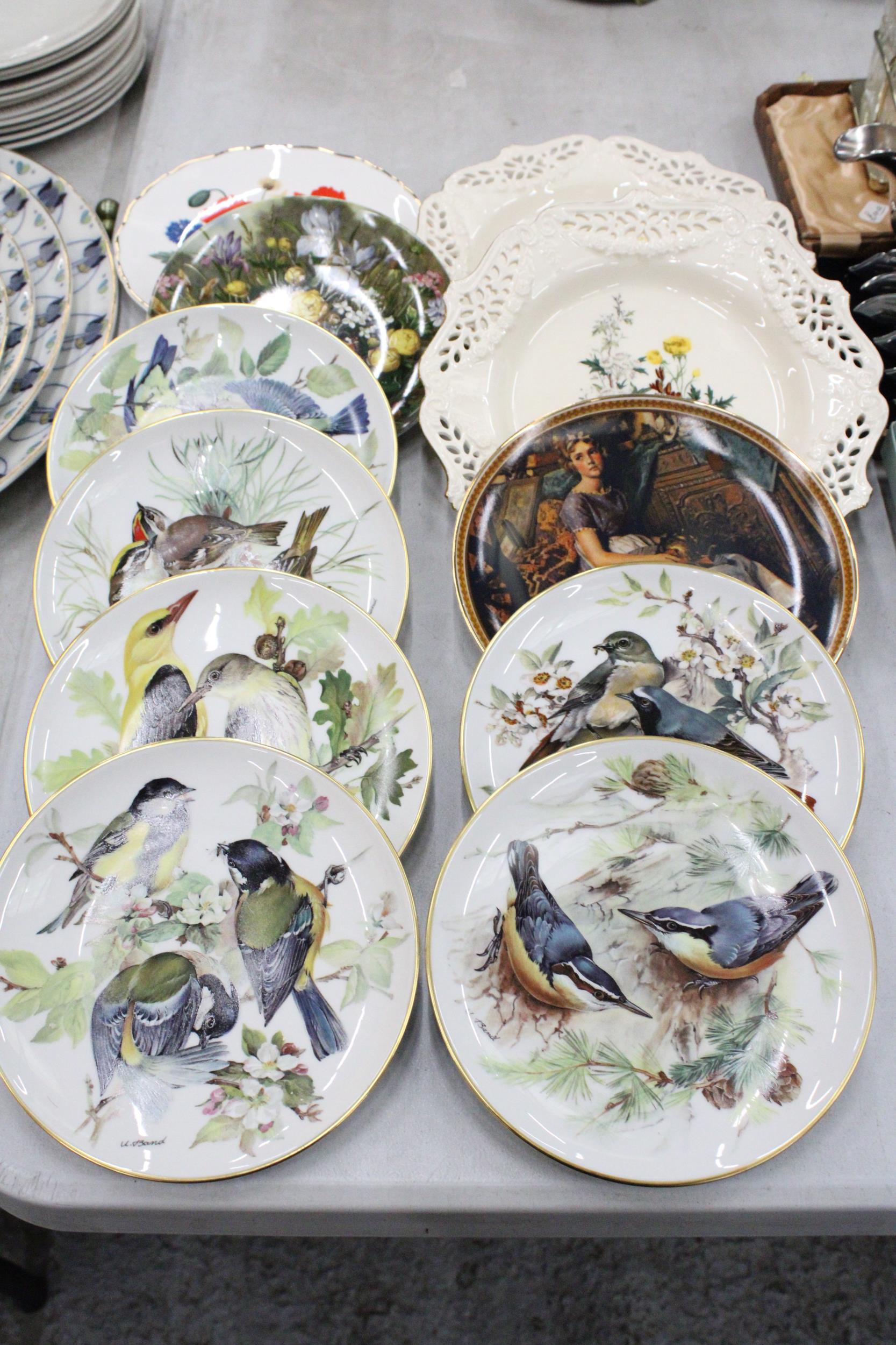 A COLLECTION OF ELEVEN CABINET PLATES