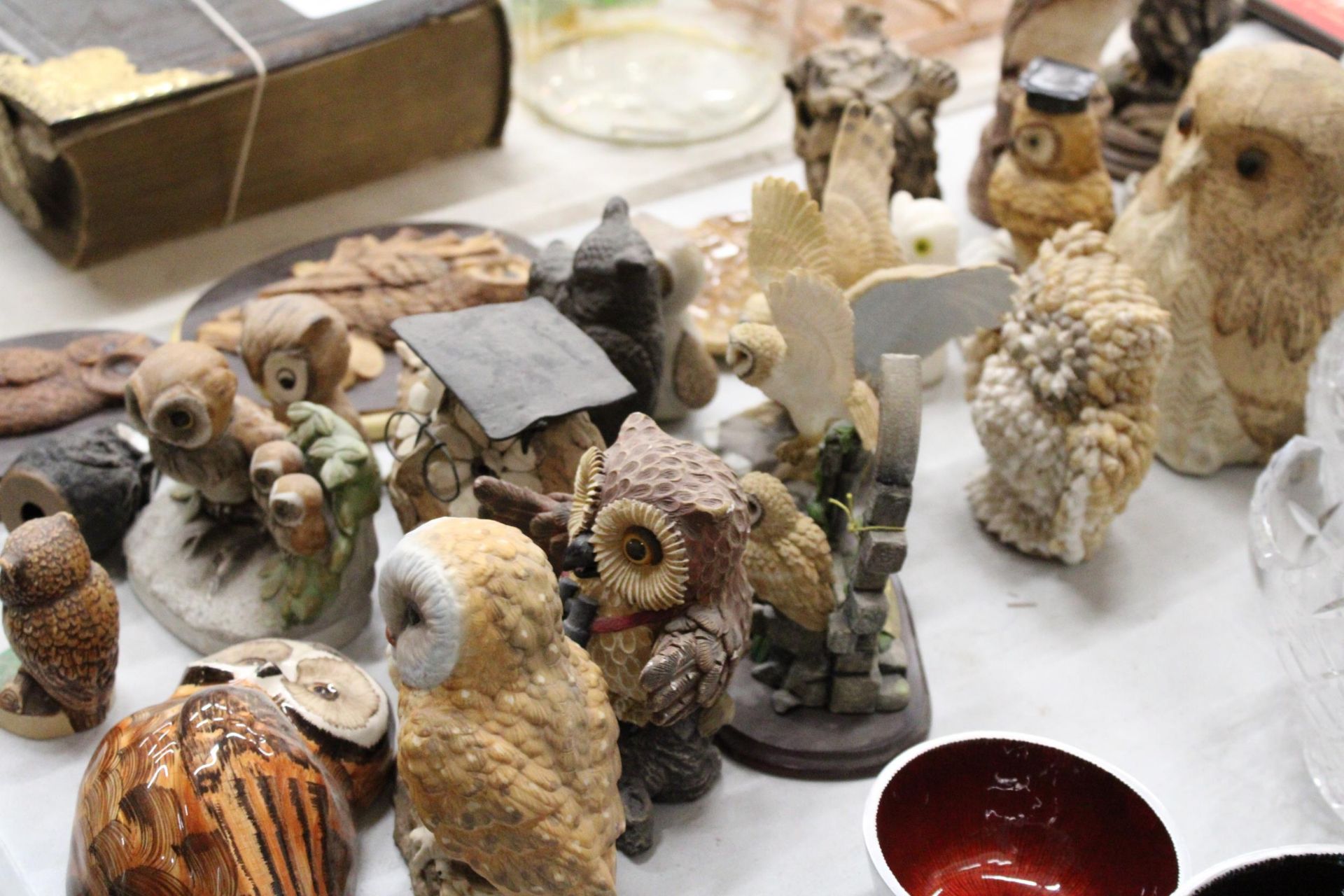 A LARGE QUANTITY OF OWL FIGURES (25 IN TOTAL) - Image 7 of 7