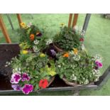 FOUR WICKER HANGING BASKETS WITH MIXED BEDDING AND TRAILING PLANTS TO INCLUDE PETUNIA, MARIGOLD,