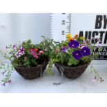 TWO WICKER HANGING BASKETS PLANTED WITH VARIOUS BEDDING PLANTS INCLUDING MARIGOLD PETUNIA VERBENA