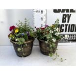 TWO LARGE TUBS PLANTED WITH VARIOUS PLANTS INC MARIGOLDS PETUNIAS FUCHSIA BACOPA ETC IN 10 LTR