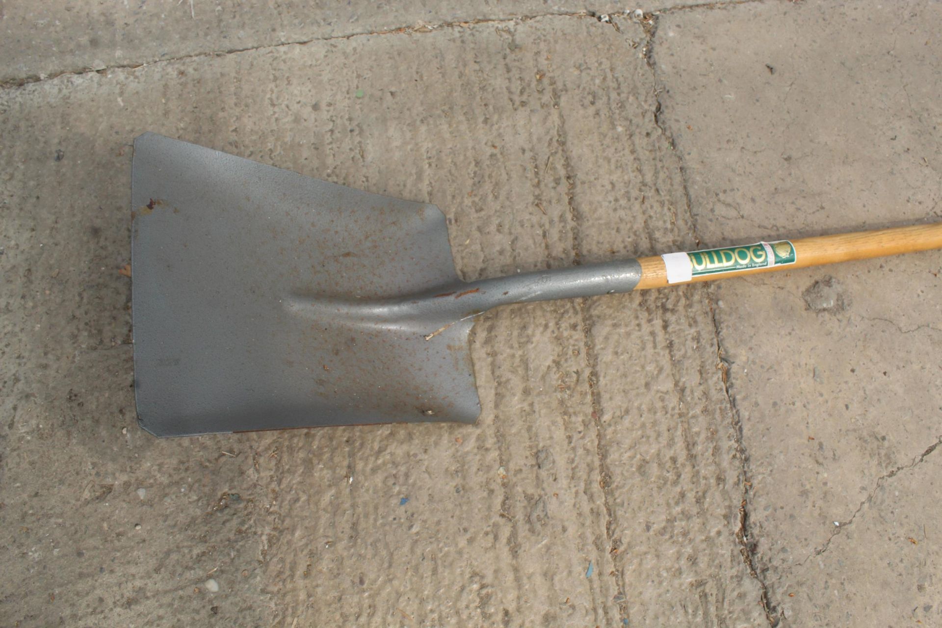 BULLDOG SHOVEL U HANDLED NO VAT - Image 2 of 2