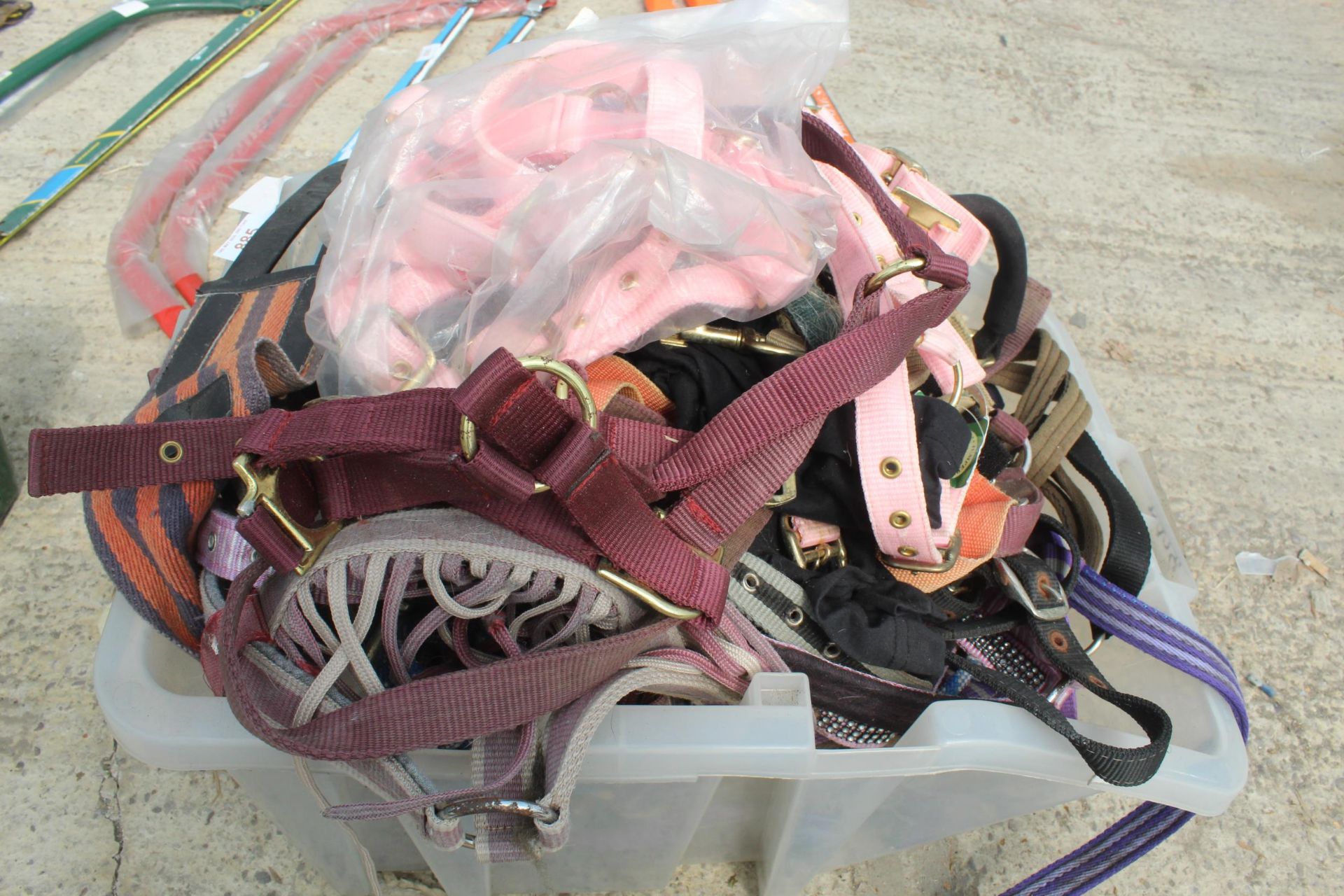 BOX OF USED COLLARS AND LUNGE NO VAT - Image 2 of 2