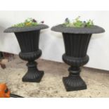 PAIR OF CAST IRON URNS WITH PLANTS NO VAT