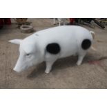 LARGE MODEL OF A GARDEN PIG NO VAT