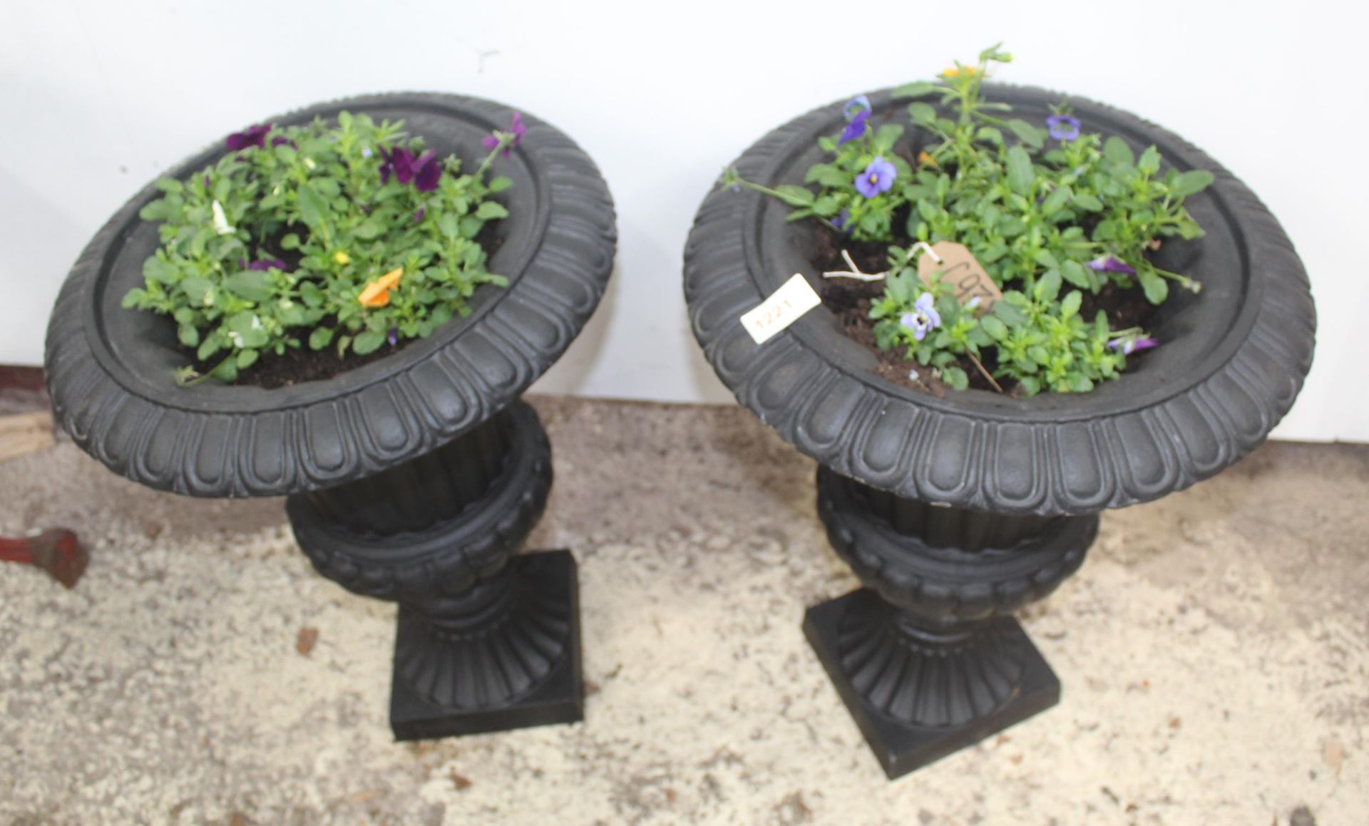 PAIR OF CAST IRON URNS WITH PLANTS NO VAT - Image 2 of 2