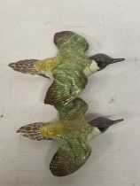 A LARGE AND A SMALL BESWICK MODELS OF KINGFISHERS IN FLIGHT