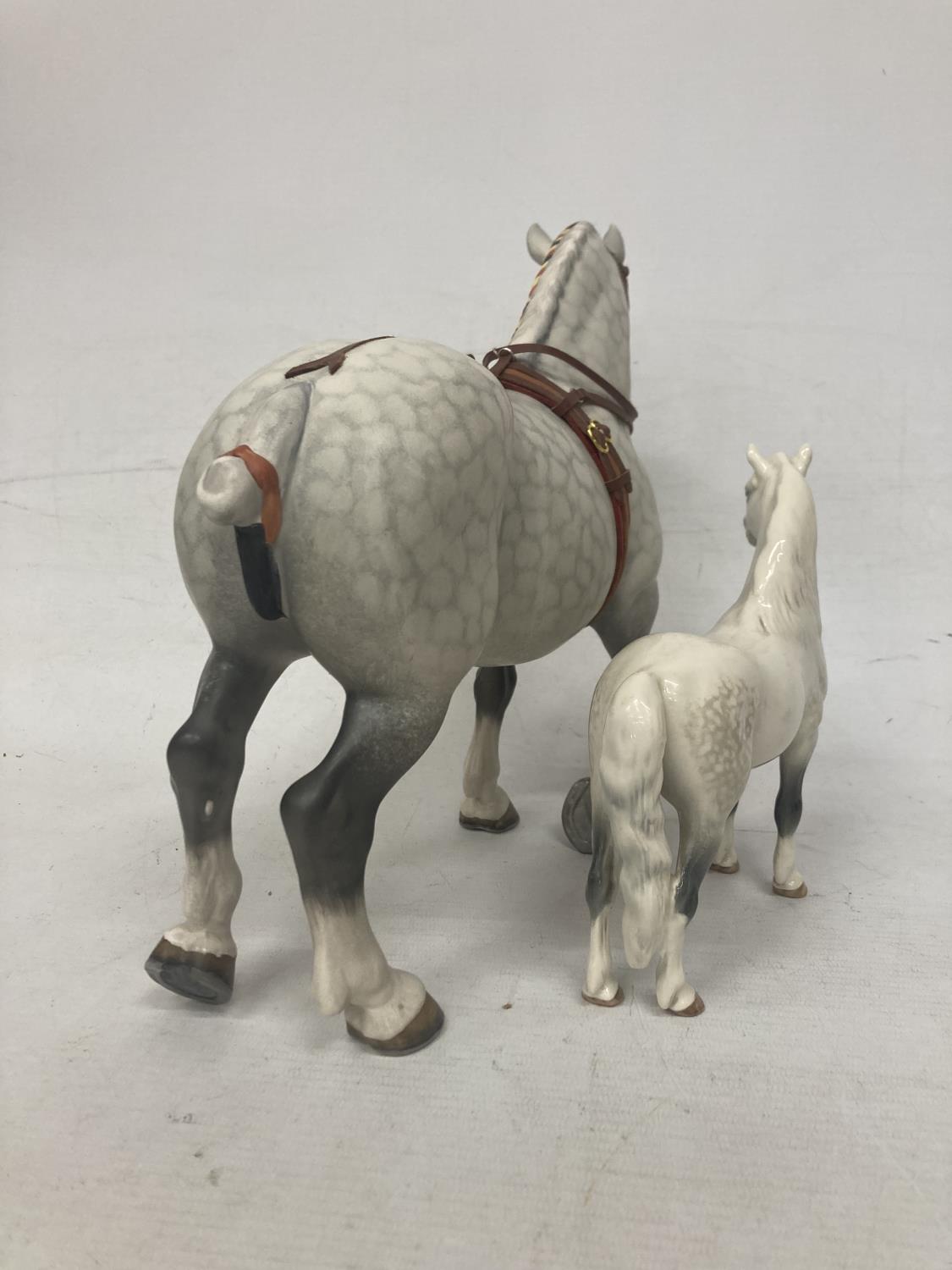 A BESWICK PERCHERON HARNESSED DAPPLE GREY HORSE TOGETHER WITH A BESWICK GREY GLOSS WELSH MOUNTAIN - Image 5 of 6