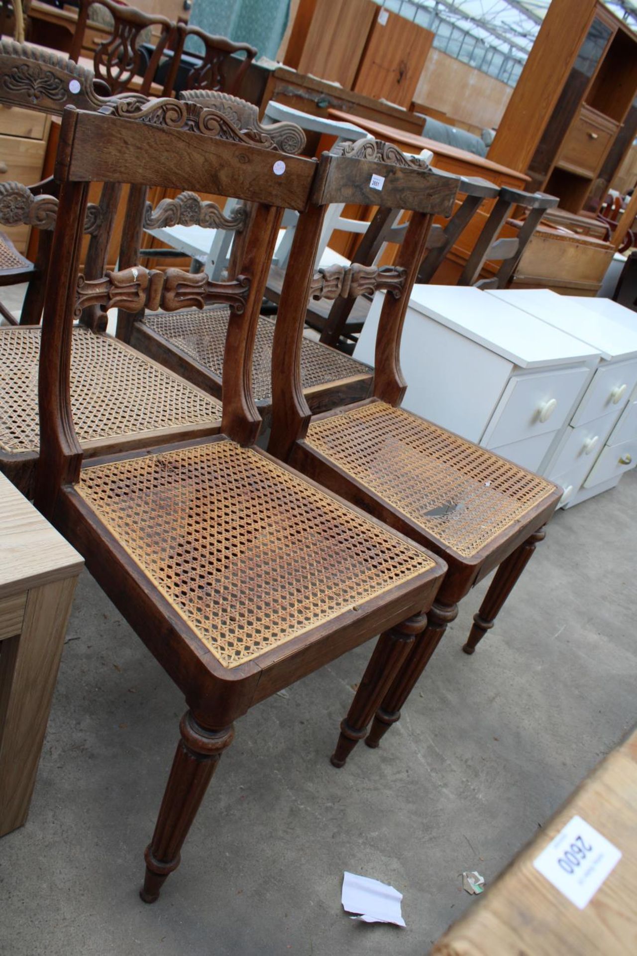 A SET OF FOUR ROSEWOOD WILLIAM IV DINING CHAIRS WITH CANE SEATS - Image 2 of 3