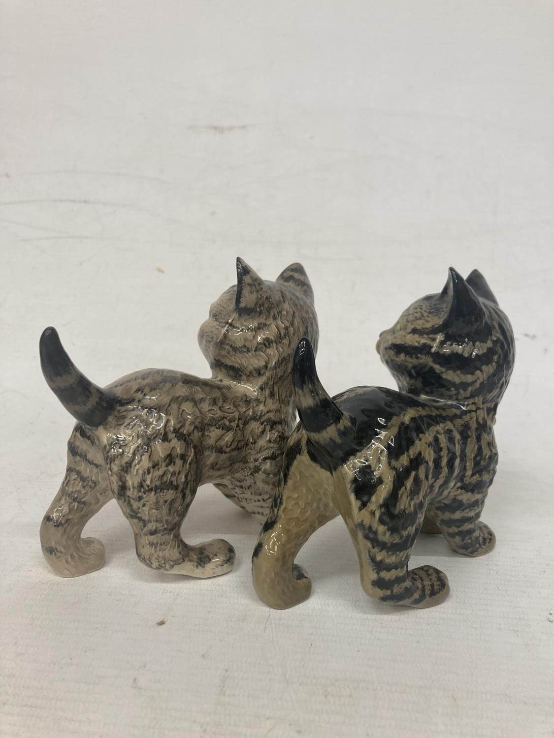 TWO BESWICK MODELS OF PERSIAN KITTENS - Image 4 of 5