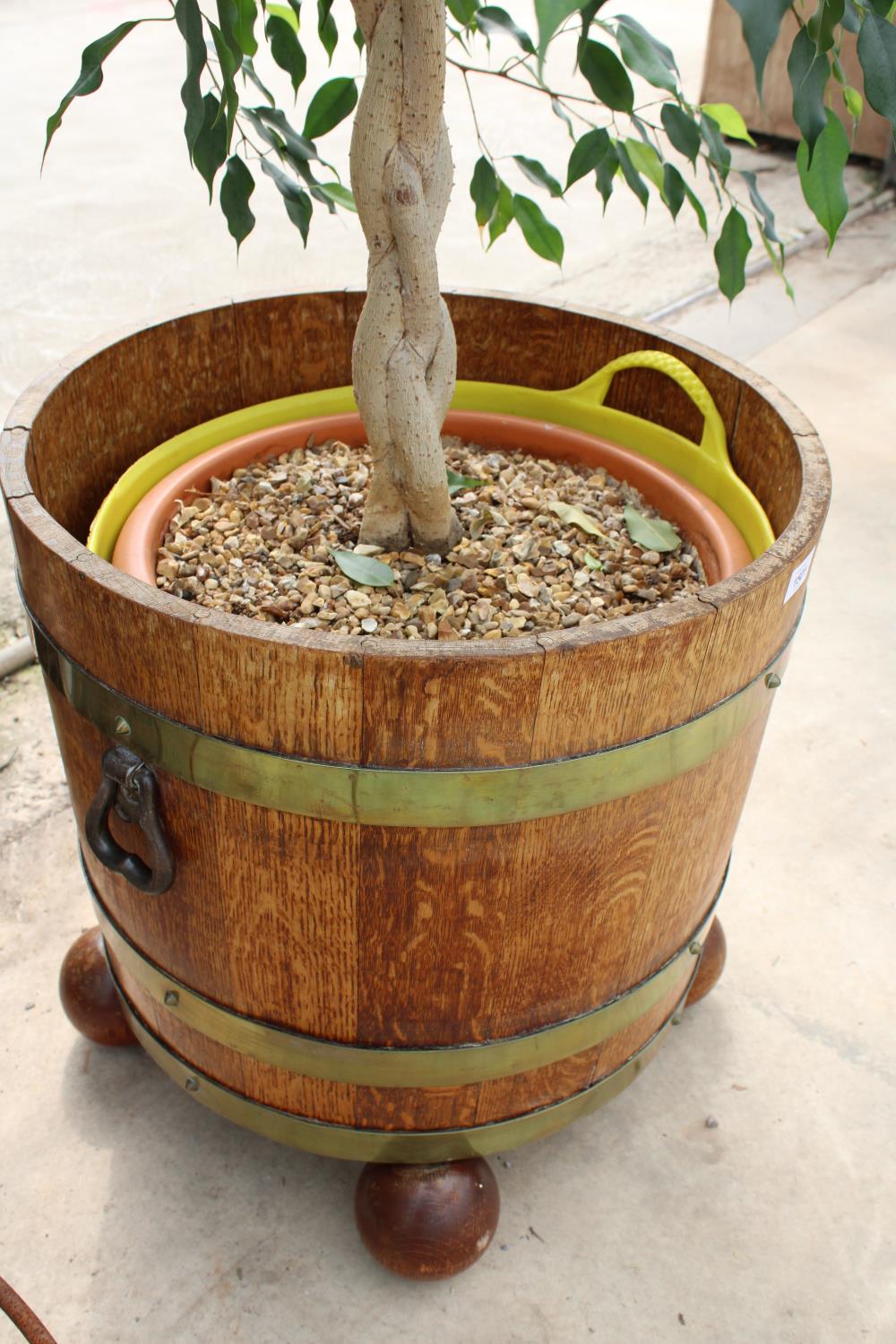 A VINTAGE OAK AND BRASS BANDED TWIN HANDLE BARREL PLANTER ON A BALL FEET BASE AND COMPLETE WITH AN - Image 2 of 5
