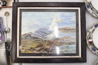 A 1970S WATERCOLOUR "THE HERRING GULL" SIGNED G.D.JOHNS