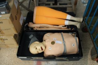 A CRASH TEST DUMMY IN A CARRY CASE