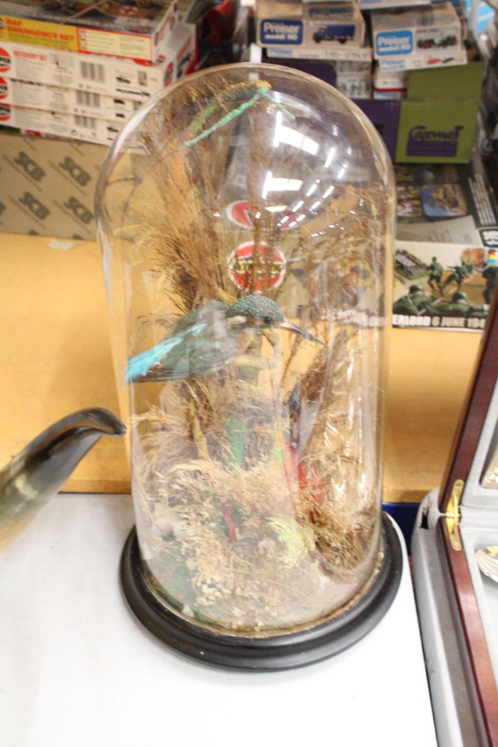 A VICTORIAN SHIPWRECK, SHIP IN A GLASS CASE, 'THE BRADFORD', LENGTH 37CM, HEIGHT 25CM, DEPTH 18CM - Image 5 of 6