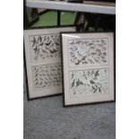 A PAIR OF FRAMED PRINTS OF DUCKS, SEA BIRDS AND GARDEN BIRDS, 44CM X 57CM