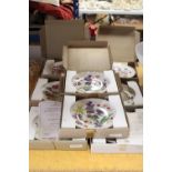 EIGHT ROYAL ALBERT CABINET PLATES IN THE 'BRITAIN'S WILD FLOWERS' SERIES, ALL BOXED WITH