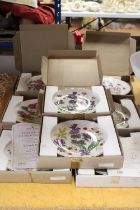 EIGHT ROYAL ALBERT CABINET PLATES IN THE 'BRITAIN'S WILD FLOWERS' SERIES, ALL BOXED WITH