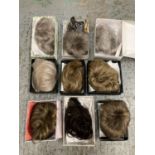 TEN BOXED WIGS TO INCLUDE SMART FACE AND STIMULATE TOGETHER WITH CARE INSTRUCTIONS