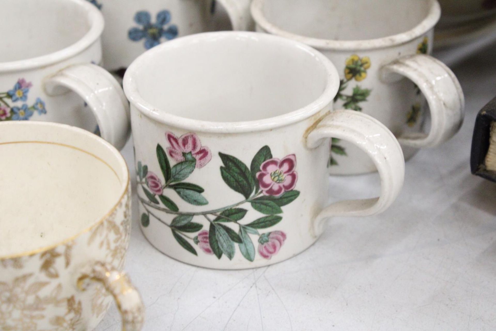 A LARGE VICTORIAN 'BLAKENEY', WASH BOWL AND JUG, PORTMEIRION BOTANIC GARDEN CUPS, A SUGAR BOWL AND - Image 4 of 6