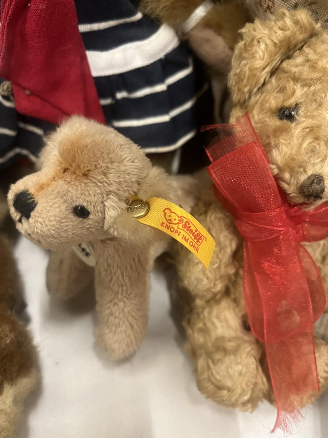 AN ASSORTMENT OF TEDDY BEARS TO INCLUDE A SMALL STEIFF DOG, BOYDS BEARS AND A COLLECTION OF BEAR - Image 6 of 7