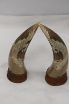 A PAIR OF REAL ORIENTAL HORNS ON WOOD BASES WITH DRAGON DESIGN, HEIGHT 23CM