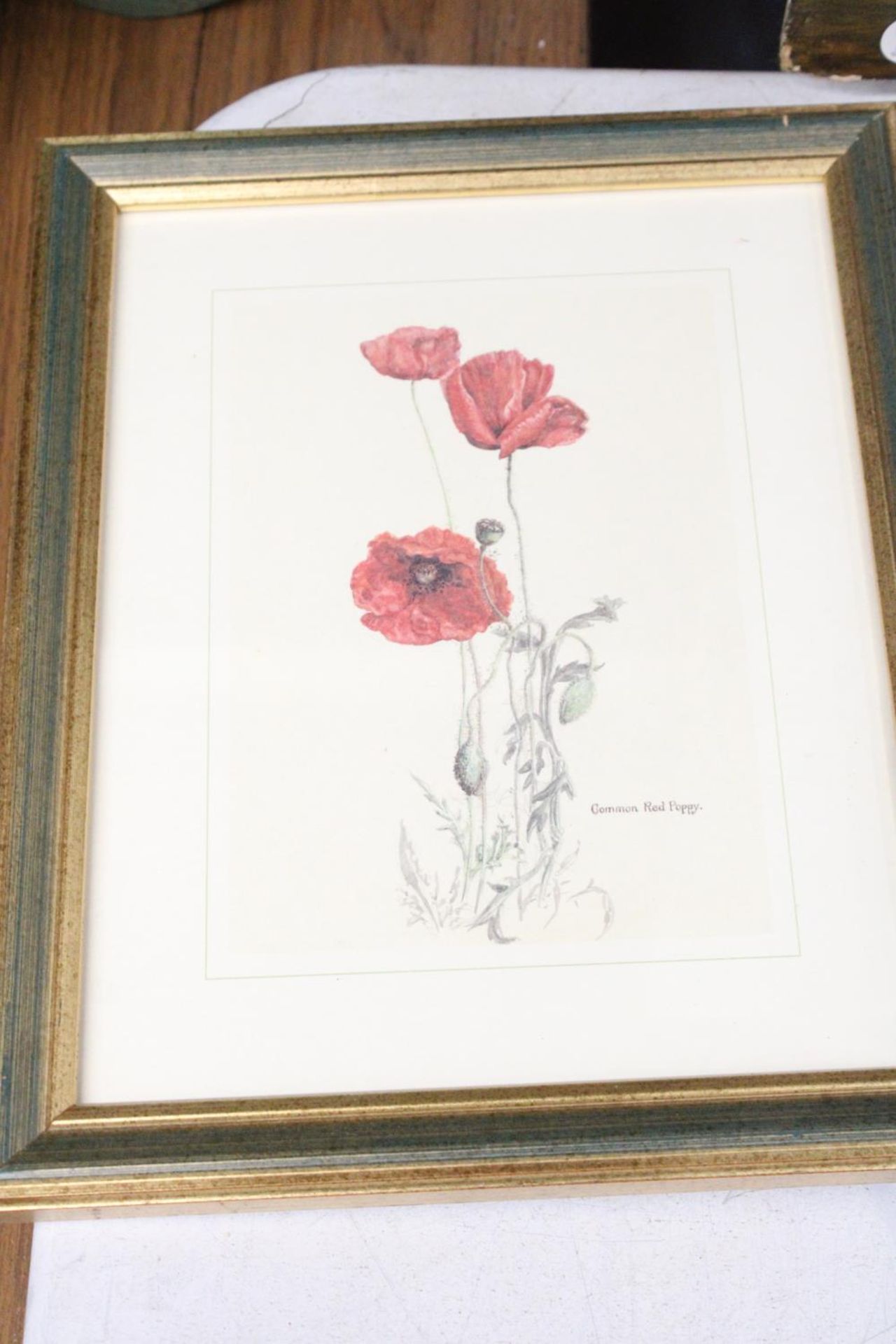 THREE FRAMED HORTICULTURAL PRINTS - Image 4 of 4
