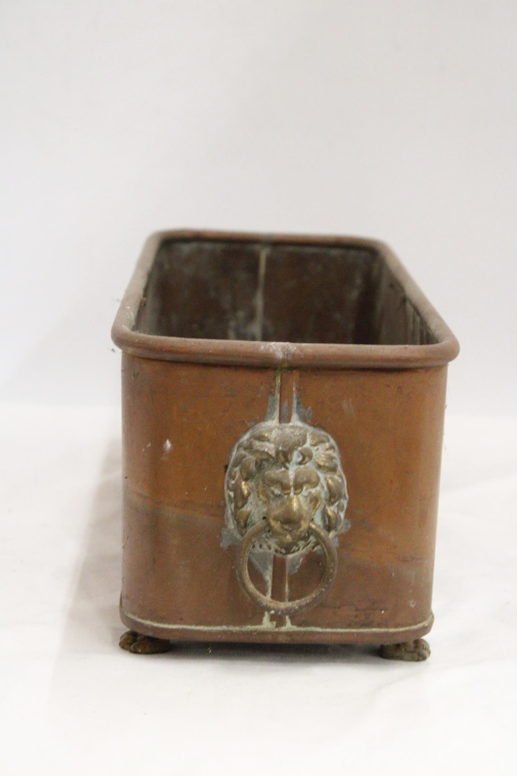 A VINTAGE COPPER PLANTER WITH LIONS HEAD HANDLES AND FEET - Image 3 of 5