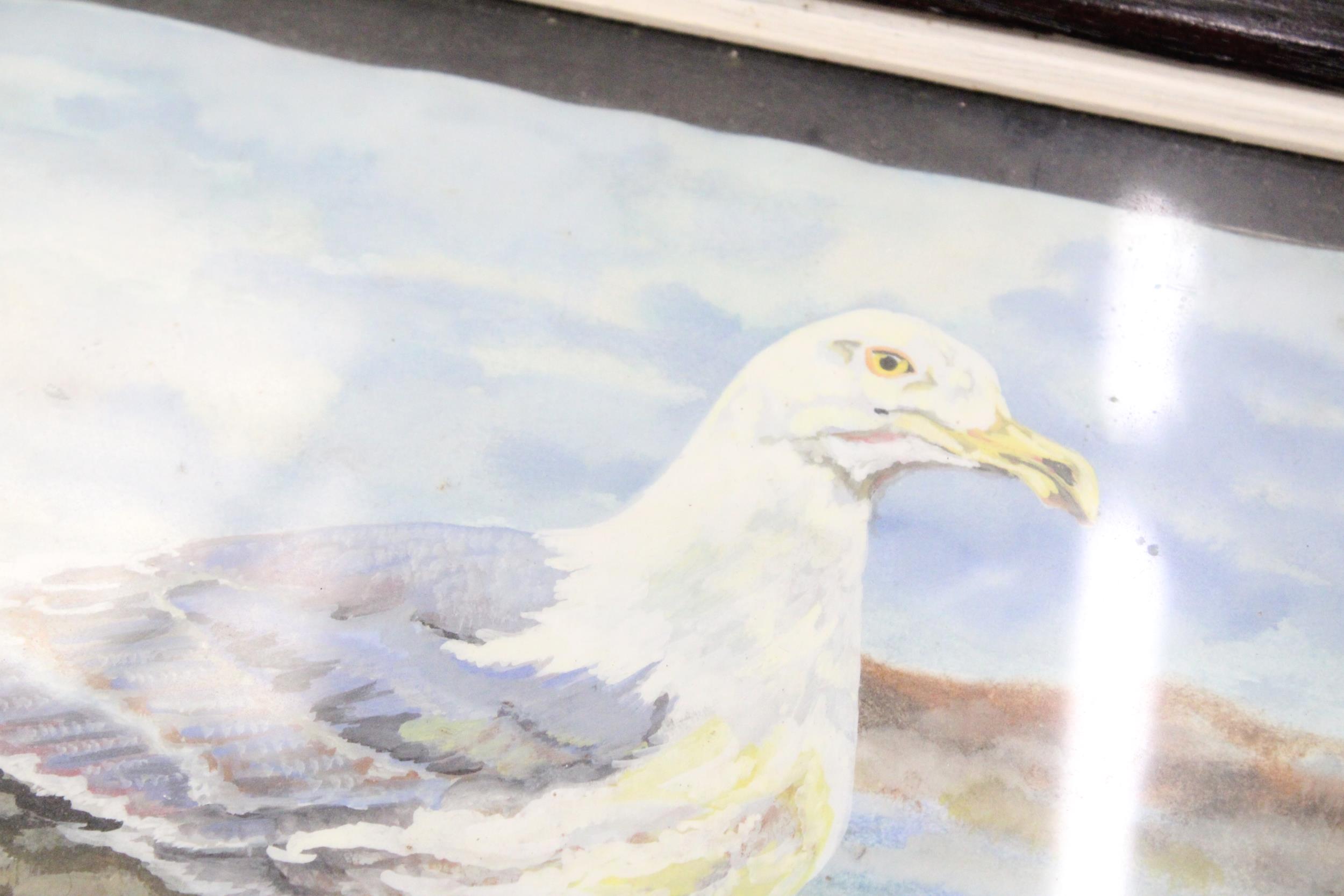 A 1970S WATERCOLOUR "THE HERRING GULL" SIGNED G.D.JOHNS - Image 4 of 5