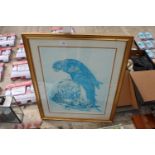 A LIMITED EDITION 5/100 PRINT OF A PARROT SIGNED K.ROLFE TO LOWER RIGHT CORNER