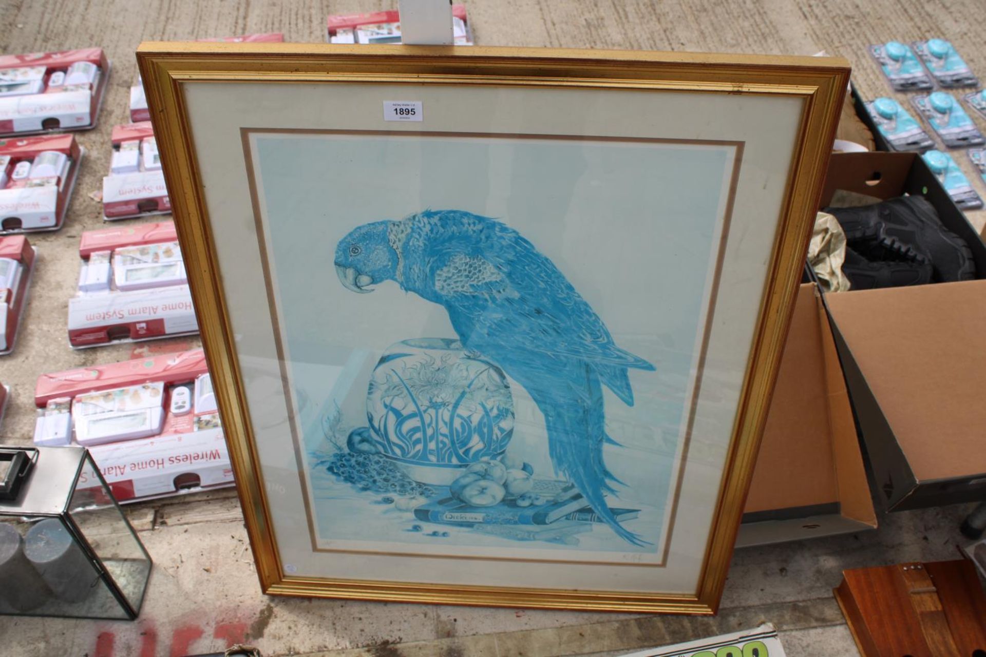 A LIMITED EDITION 5/100 PRINT OF A PARROT SIGNED K.ROLFE TO LOWER RIGHT CORNER