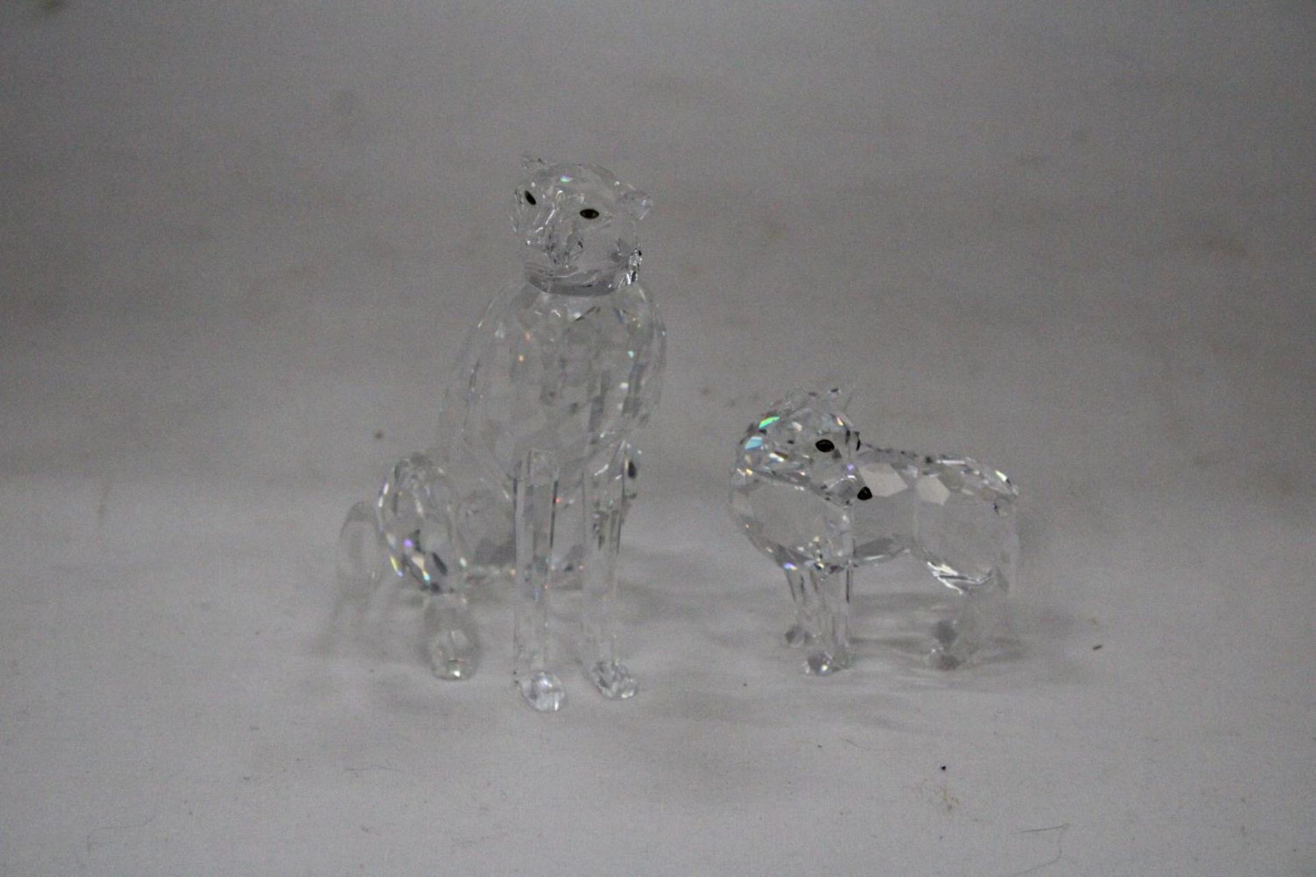 A SWAROVSKI CRYSTAL WOLF PLUS A SWAROVSKI CHEETAH - Image 5 of 7