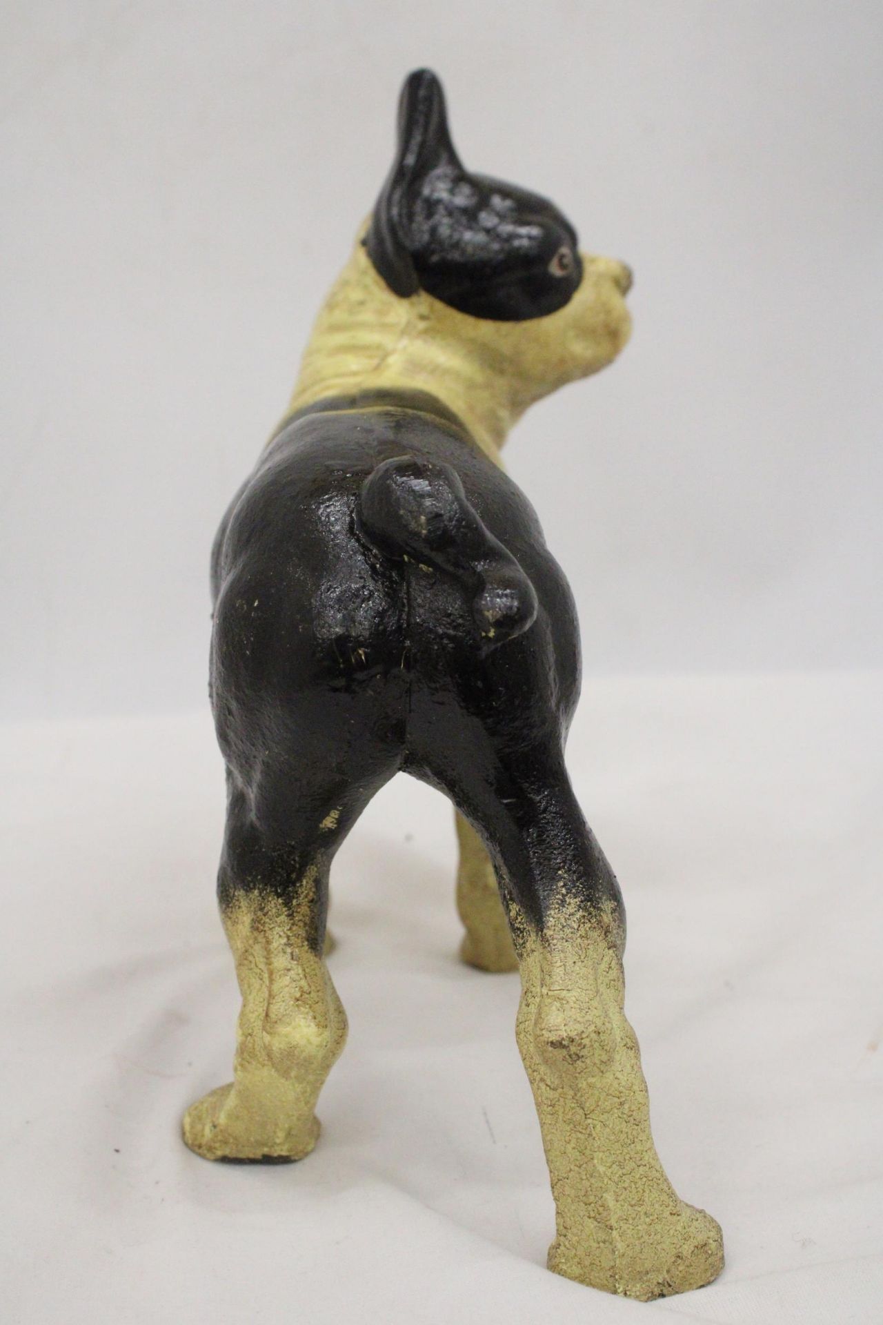 A CAST BOSTON TERRIOR/BULLDOG FIGURE - Image 5 of 6