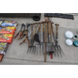 A LARGE ASSORTMENT OF VINTAGE GARDEN TOOLS TO INCLUDE FORKS, SPADES AND SHEARS ETC