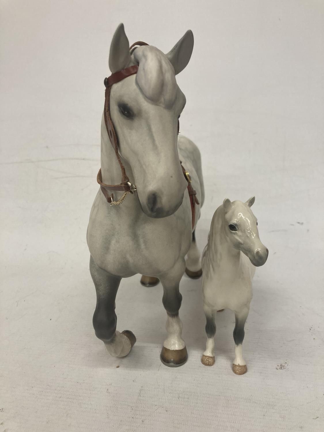 A BESWICK PERCHERON HARNESSED DAPPLE GREY HORSE TOGETHER WITH A BESWICK GREY GLOSS WELSH MOUNTAIN - Image 3 of 6