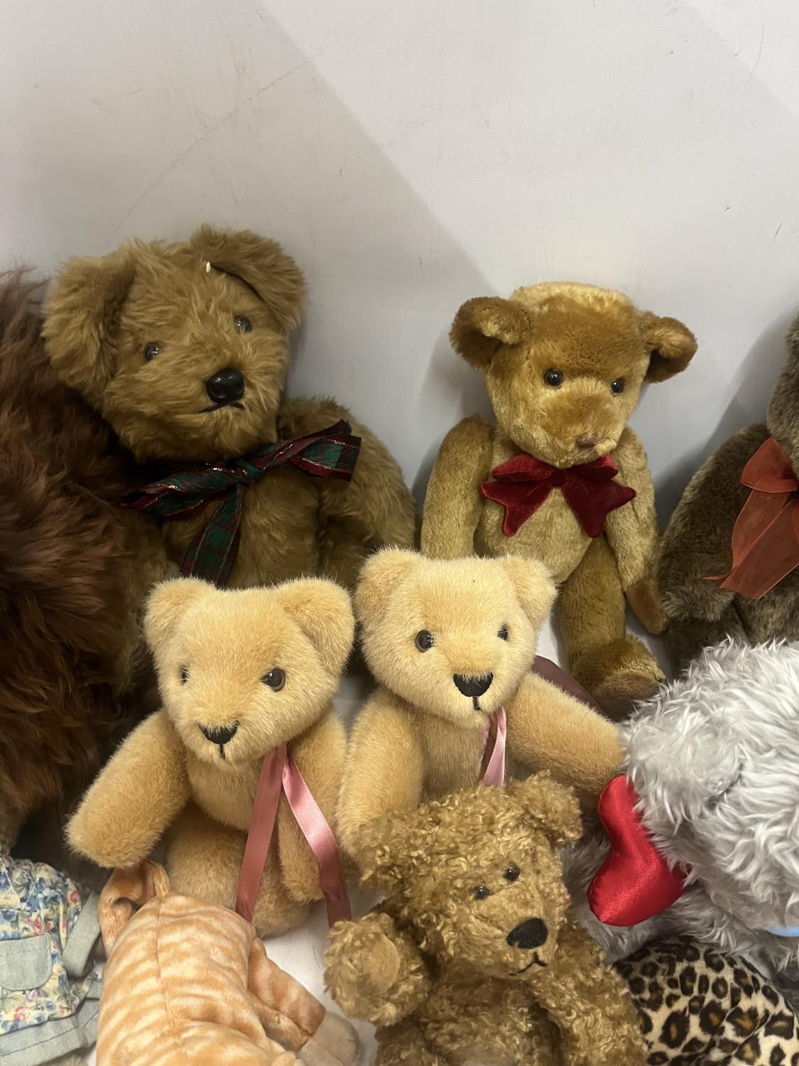 AN ASSORTMENT OF TEDDY BEARS TO INCLUDE TY BEANIE BABIES, MERRYTHOUGHT AND A LAMA ETC - Image 3 of 5