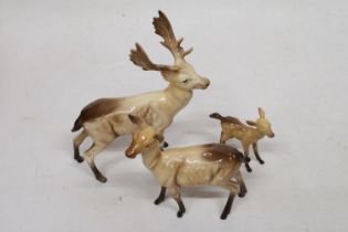 A BESWICK MODEL OF A STAG TOGETHER WITH A DOE AND FAWN FIGURE