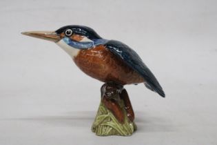 A BESWICK MODEL OF A KINGFISHER WITH A GLOSS FINISH