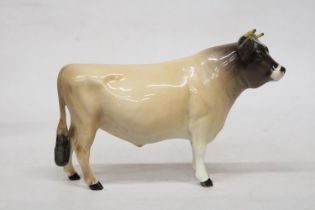 A BESWICK JERSEY BULL "CH DUNSLEY COY BOY"