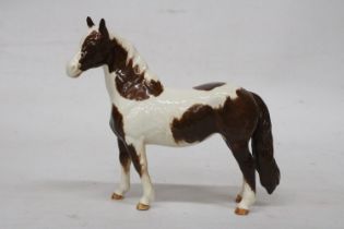 AS BESWICK MODEL OF A SKEWBOLD PINTO PONY WITH A GLOSS FINISH